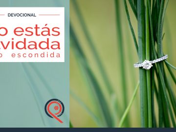 No estas olvidada, solo escondida