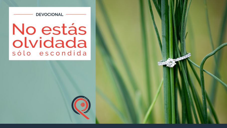 No estas olvidada, solo escondida